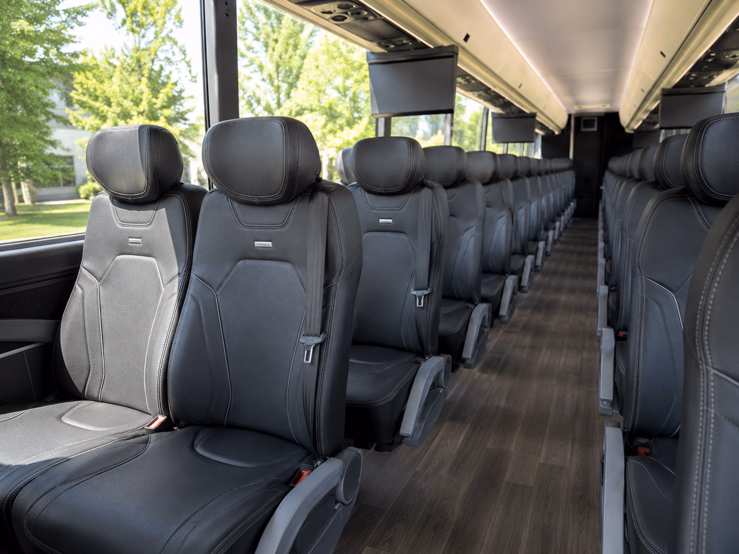 what makes a party bus the perfect prom transportation choice in shelby township